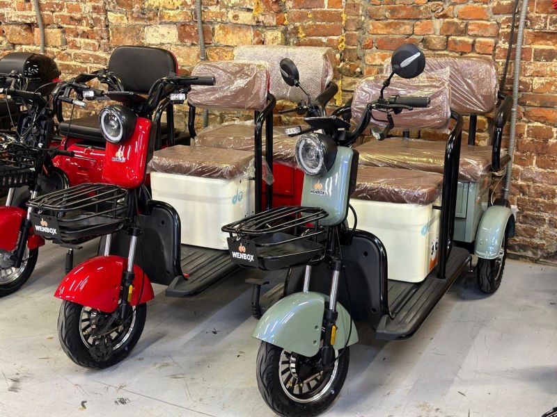 Электротрицикл ElectroTrike Бумеранг Pro Красный Электротрицикл ElectroTrike Бумеранг Pro Красный